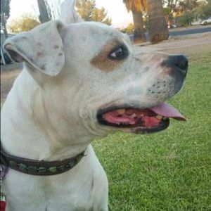 Meet your Posher, Kari